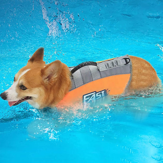Stylish Dog Life Vest Pet Safety for Water Activities