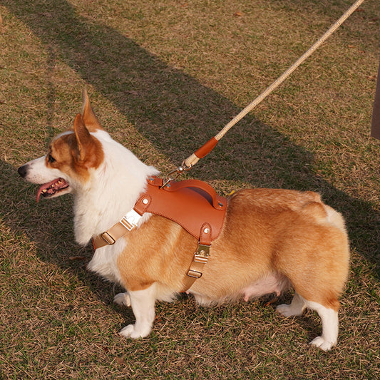 Waterproof Leather Dog Harness Leash Set