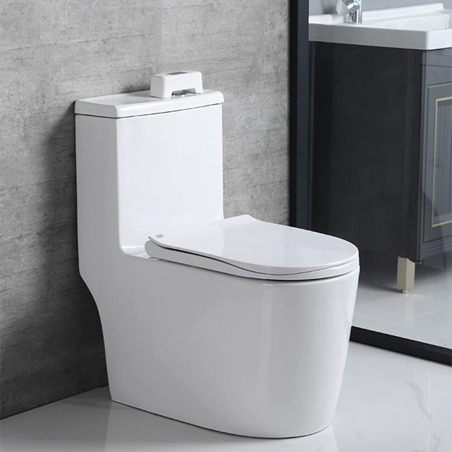 Automatic Toilet Flusher for Home and Public Use.